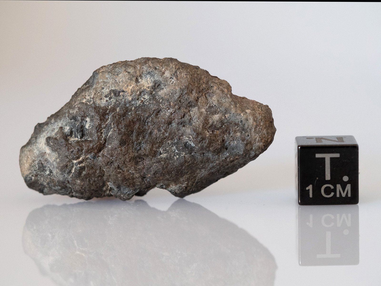 Dhofar 1768 (diogenite) - 15.74g endcut - Image 2