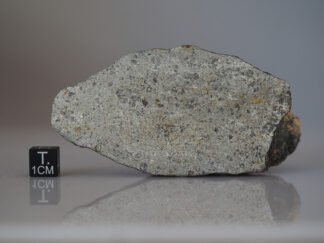 Dhofar 2093 (eucrite) - 156g endcut