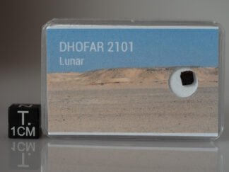 Dhofar 2101 (feldsp. breccia) - 0.042g fragment