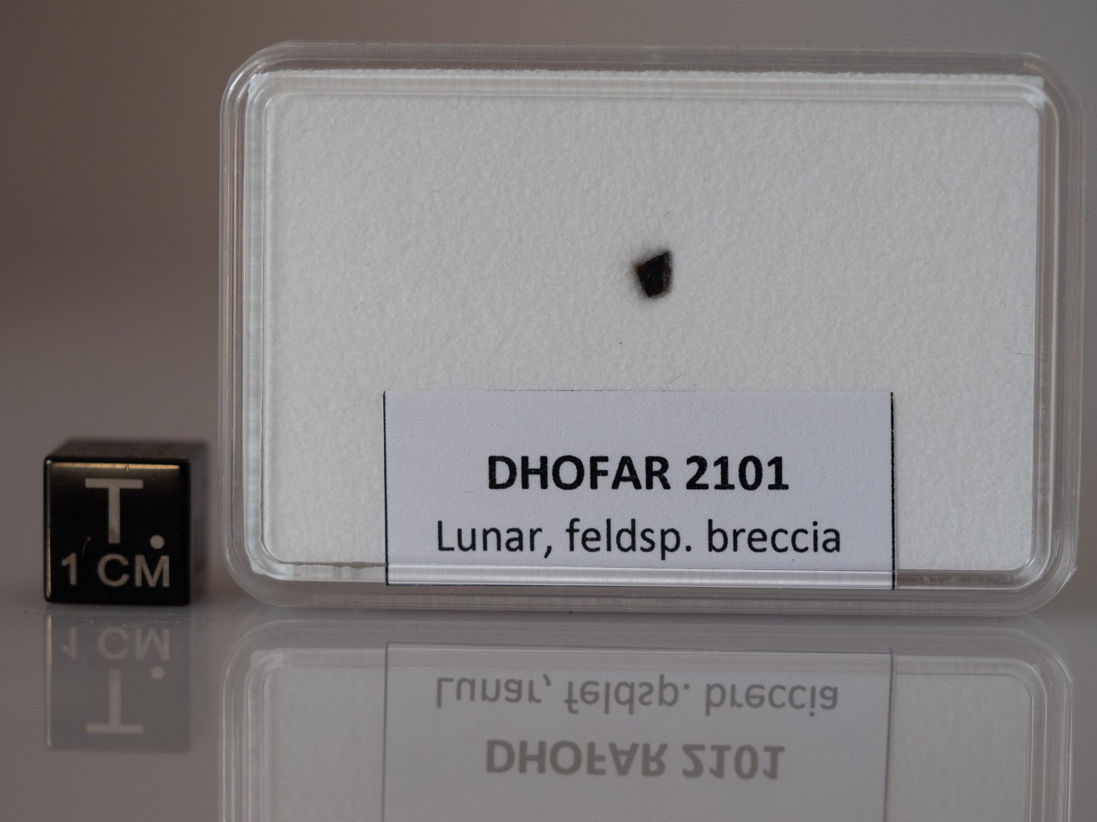 Dhofar 2101 (feldsp. breccia) - fragment