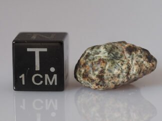 Erg Chech 002 (ungrouped) - 2.68g specimen
