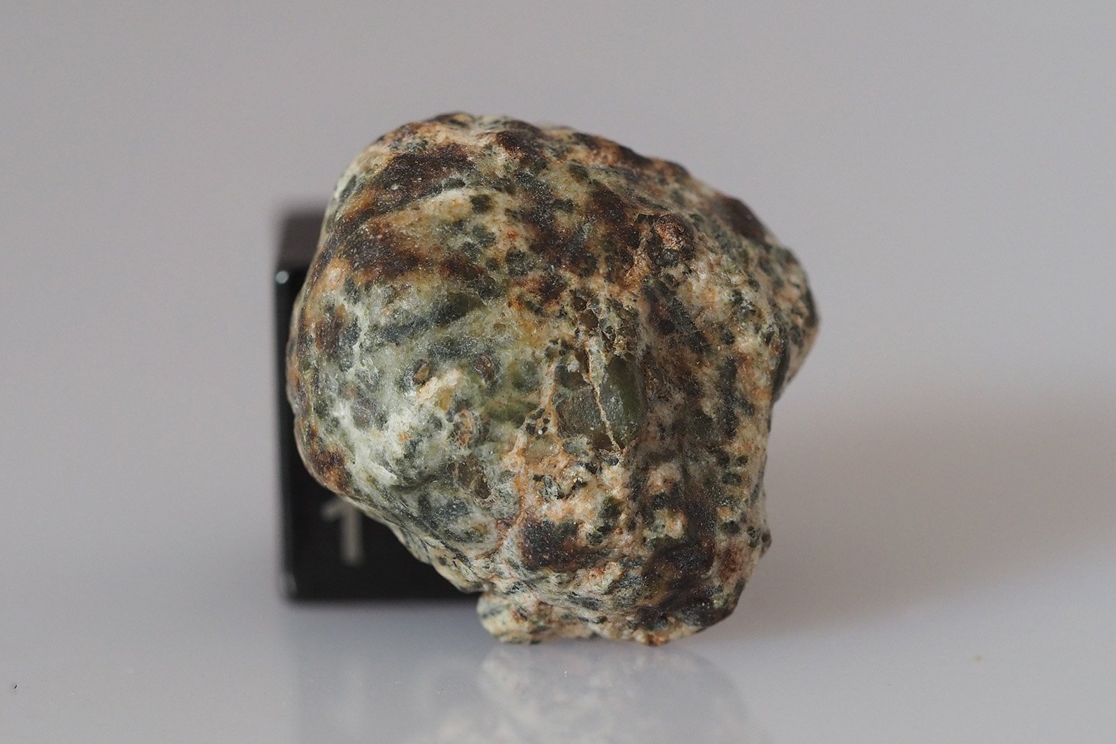 Erg Chech 002 (ungrouped) - 2.68g specimen - Image 2