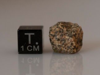 Erg Chech 002 (ungrouped) - 3.40g specimen