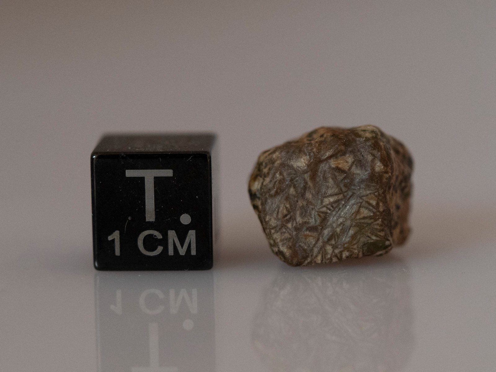 Erg Chech 002 (ungrouped) - 3.40g specimen - Image 2