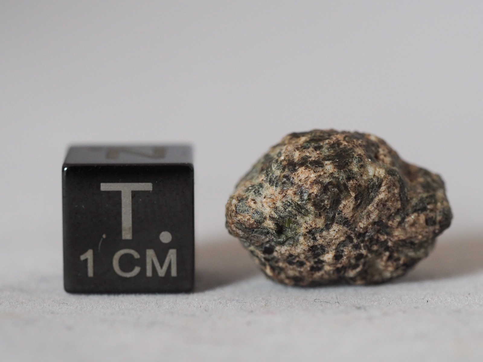 Erg Chech 002 (ungrouped) - 3.41g specimen - Image 2