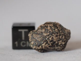 Erg Chech 002 (ungrouped) - 3.41g specimen