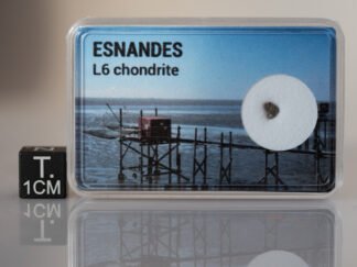 Esnandes (L6) - fragment nr 6