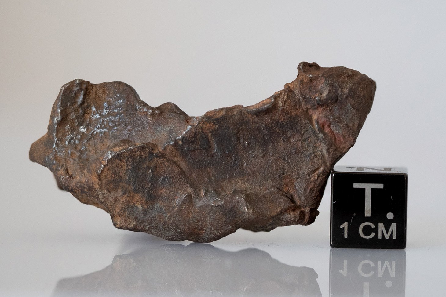 Gebel Kamil (ataxite) - 42.17g specimen - Image 2