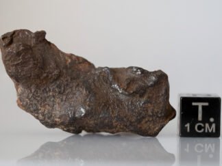 Gebel Kamil (ataxite) - 42.17g specimen