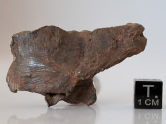 Gebel Kamil (ataxite) - 48.48g specimen