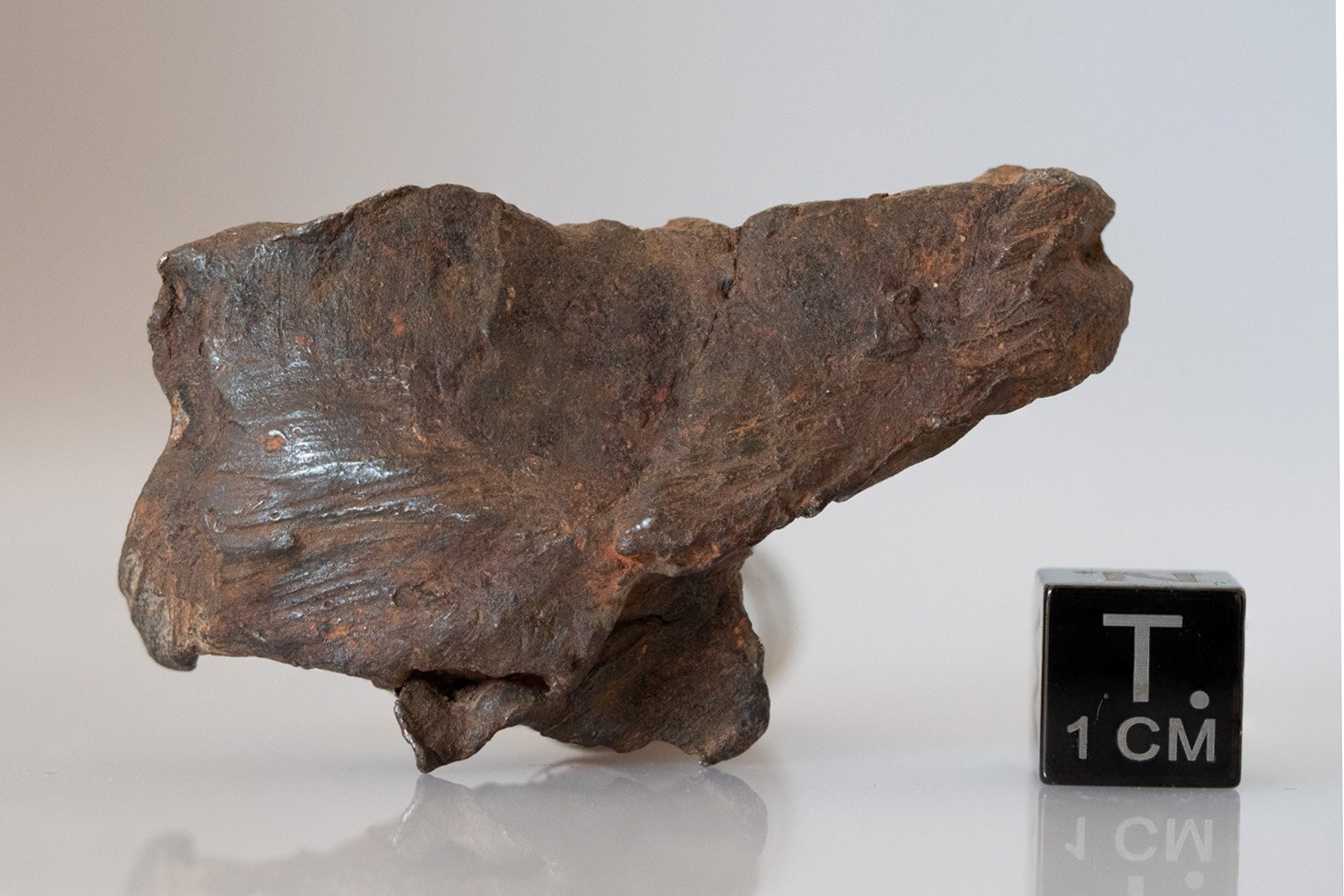 Gebel Kamil (ataxite) - 48.48g specimen