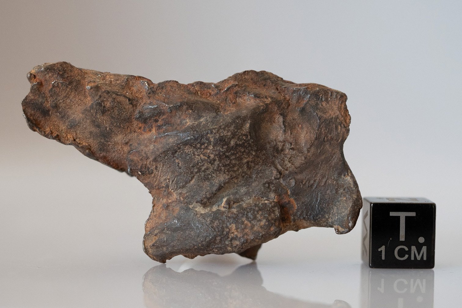 Gebel Kamil (ataxite) - 48.48g specimen - Image 2