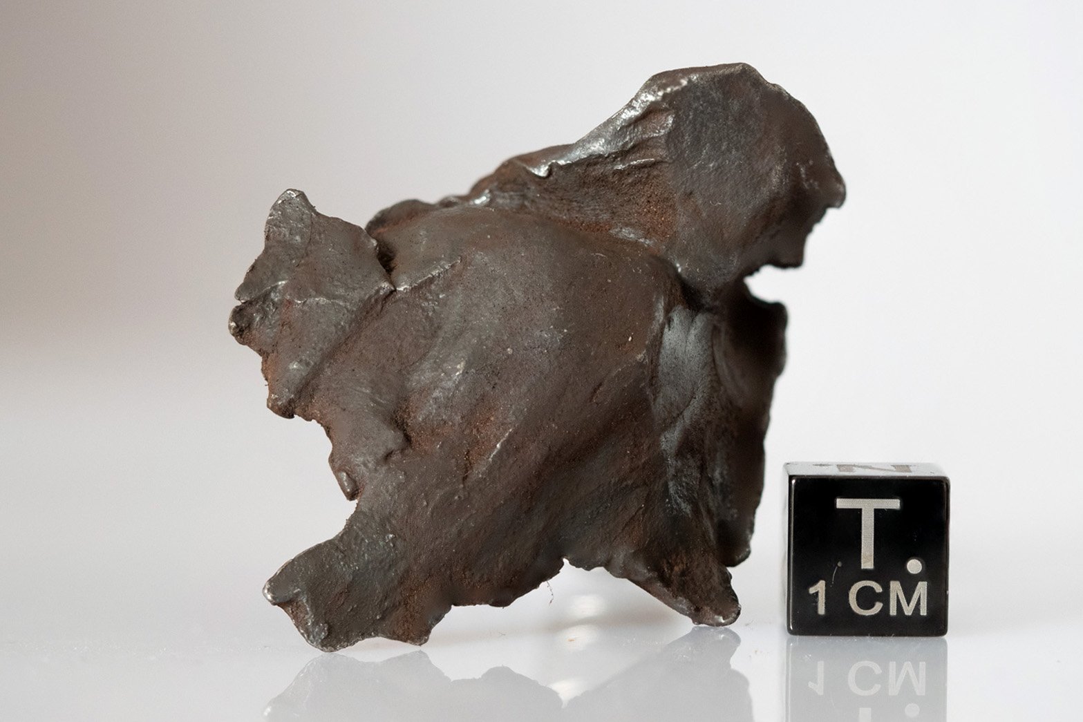 Gebel Kamil (ataxite) - 57.35g specimen - Image 2