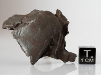 Gebel Kamil (ataxite) - 57.35g specimen