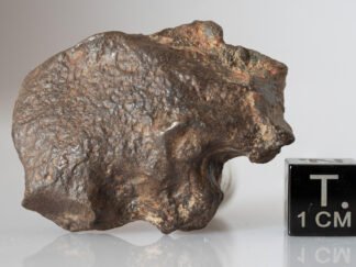 Gebel Kamil (ataxite)- 58.25g specimen