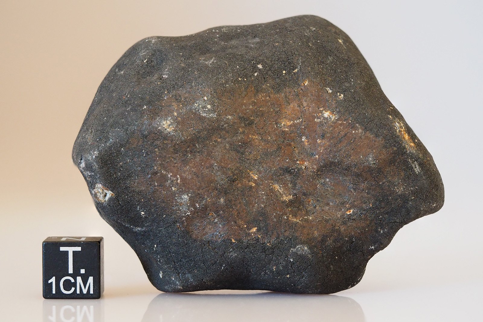 Hammadah Al Hamra 346 - 133g specimen - Image 2