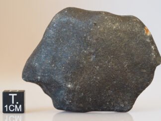 Hammadah Al Hamra 346 - 133g specimen