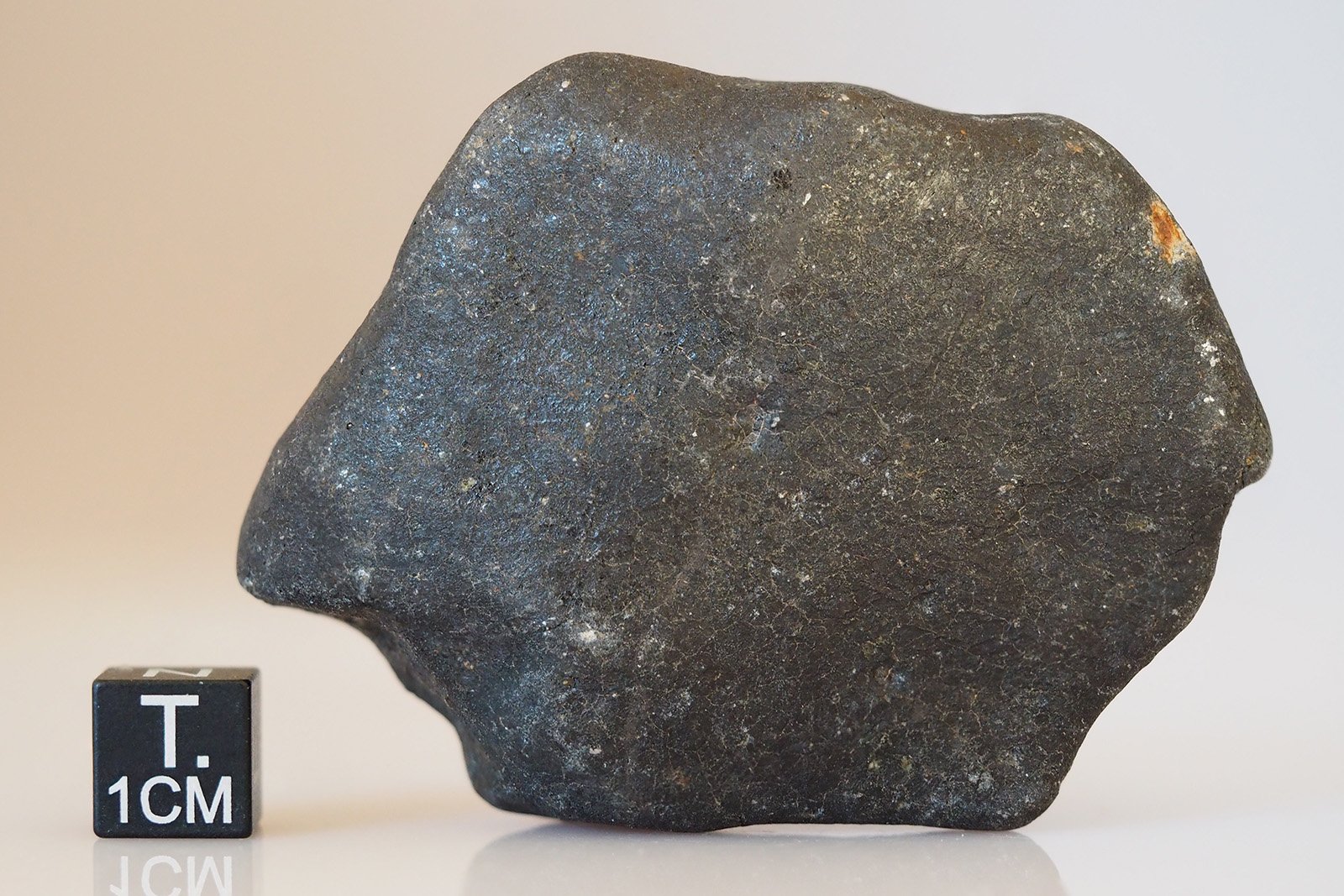 Hammadah Al Hamra 346 - 133g specimen