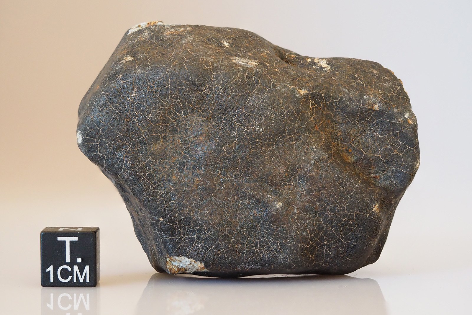 Hammadah Al Hamra 346 - 194g specimen