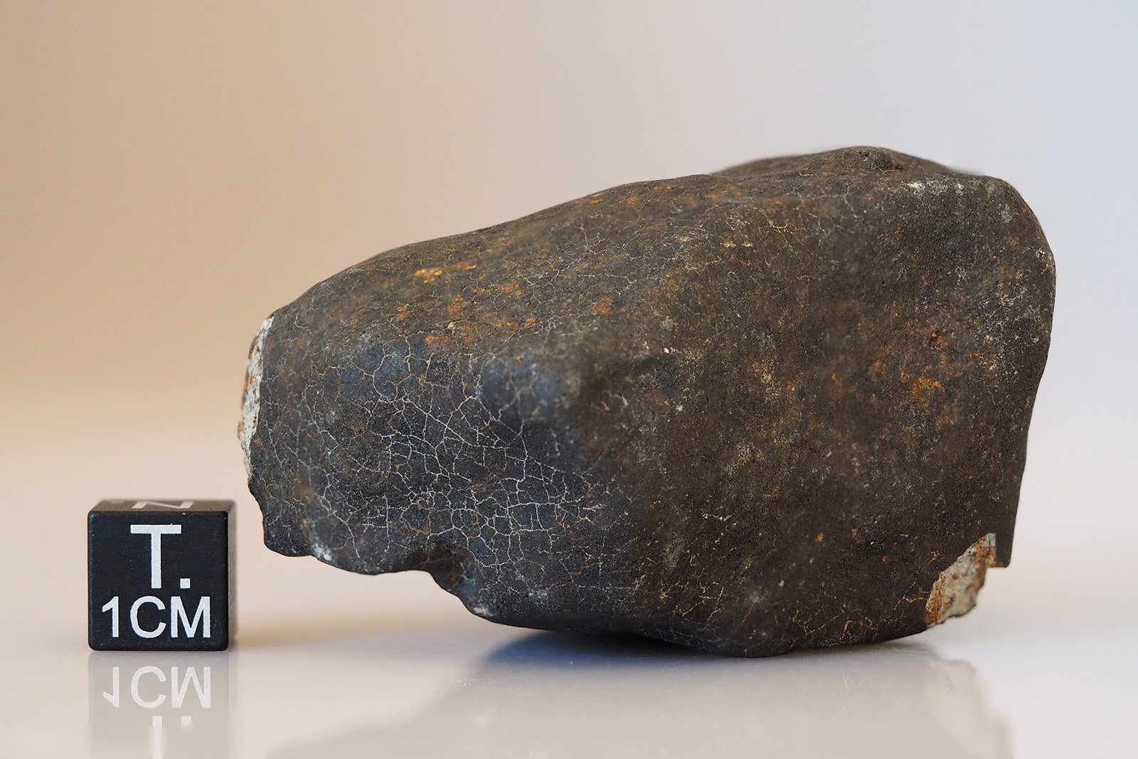 Hammadah Al Hamra 346 - 194g specimen - Image 3