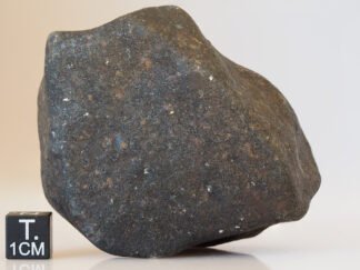 Hammadah Al Hamra 346 - 254g specimen