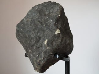 Hammadah Al Hamra 346 - 1220g specimen