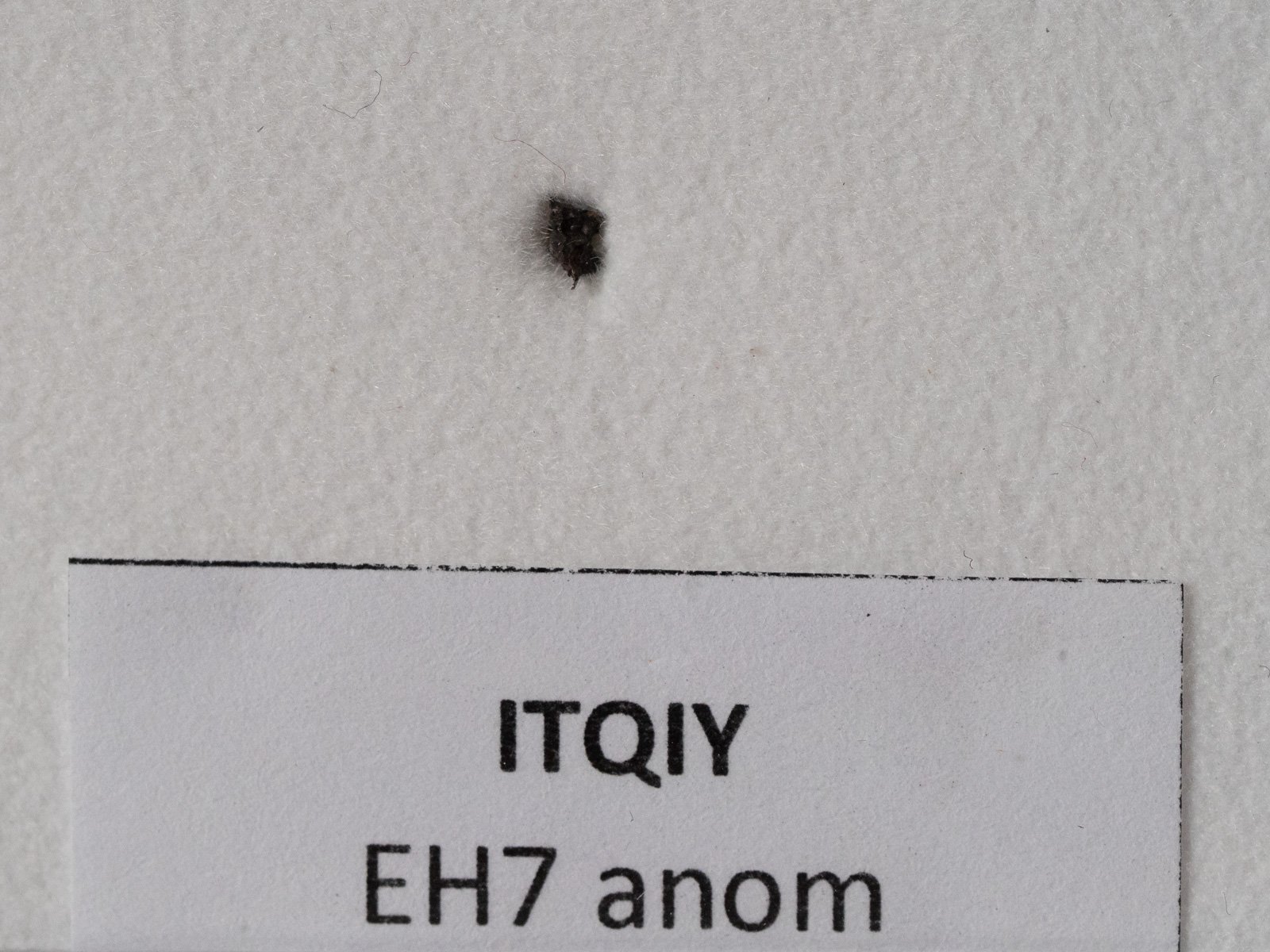 Itqiy (EH7-an) - fragment - Image 2