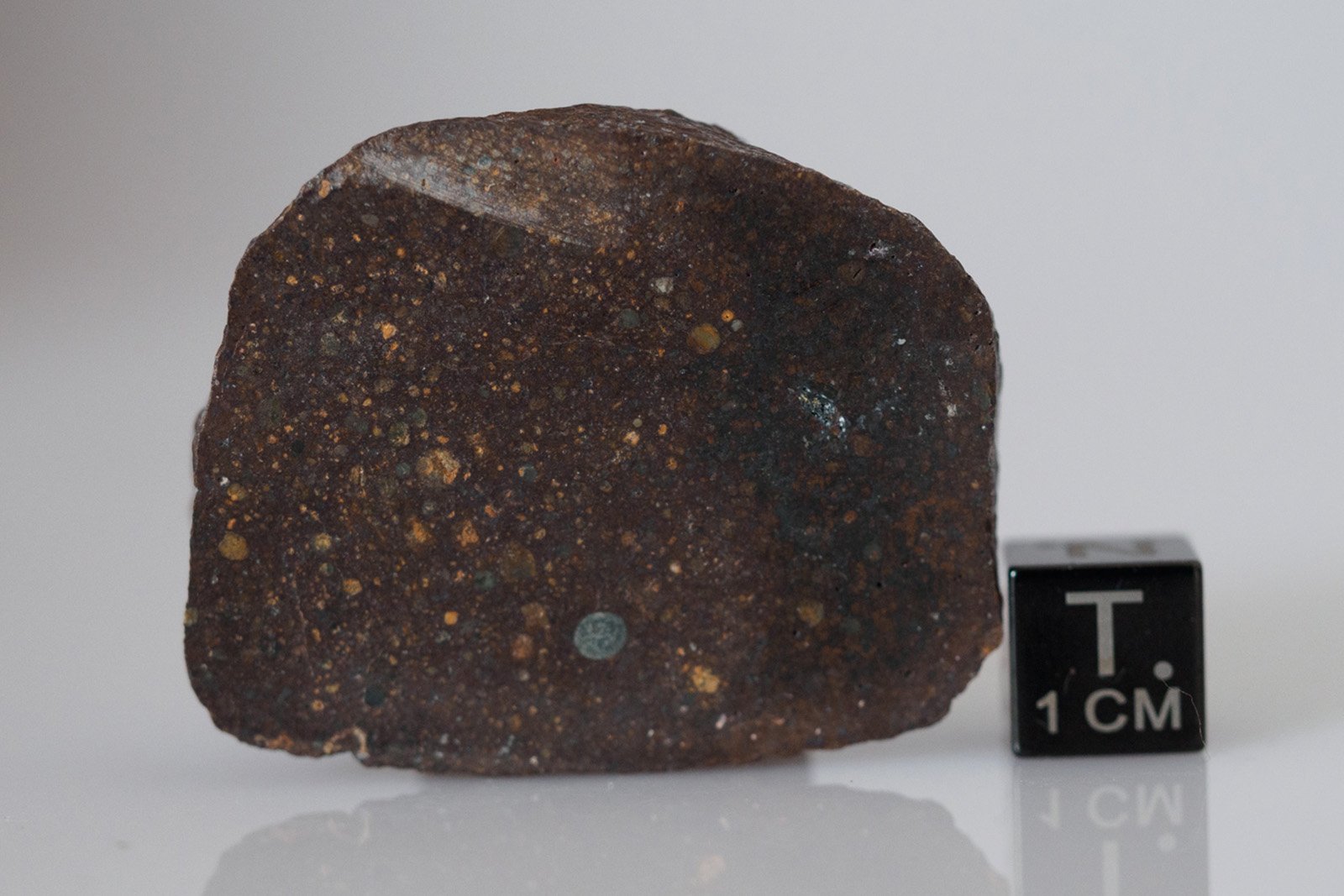 JAH 846 (OC3) - 35.16g endcut - Image 2