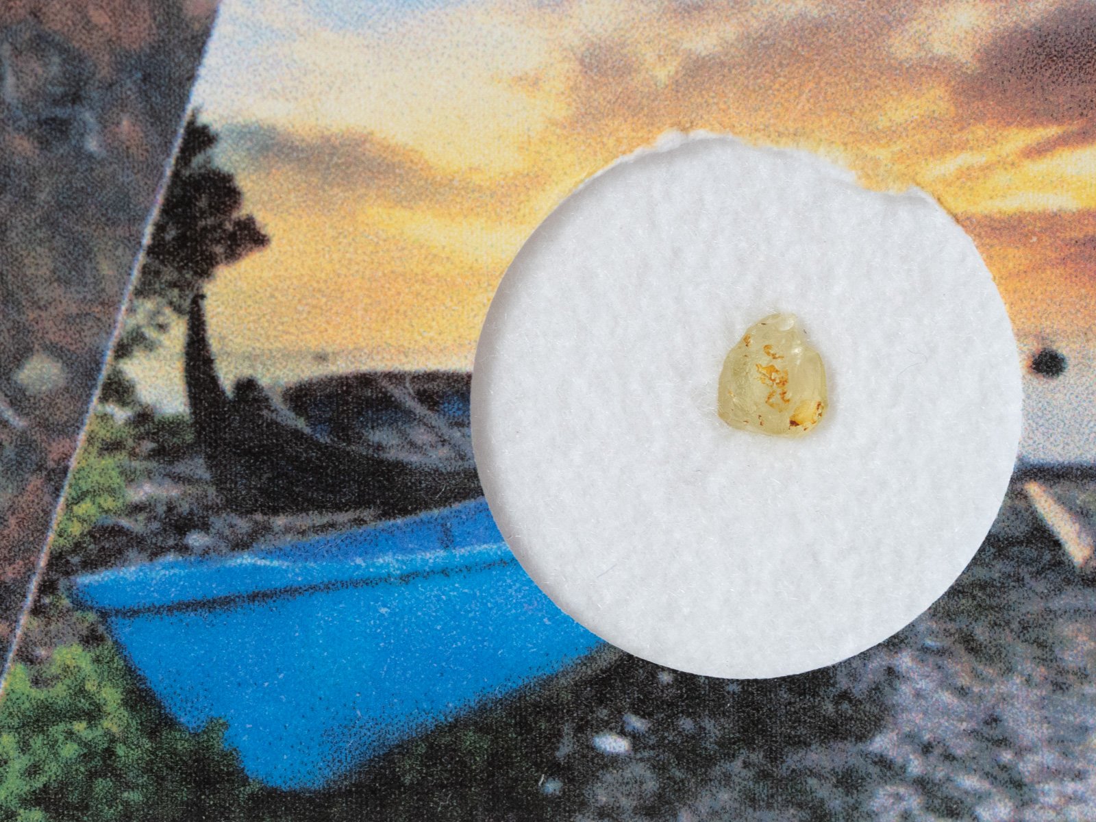 Jepara (pallasite) - fragment nr 30 - Image 2