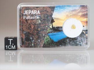 Jepara (pallasite) - fragment nr 30