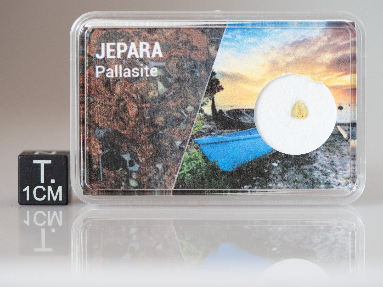 Jepara (pallasite) - fragment nr 30