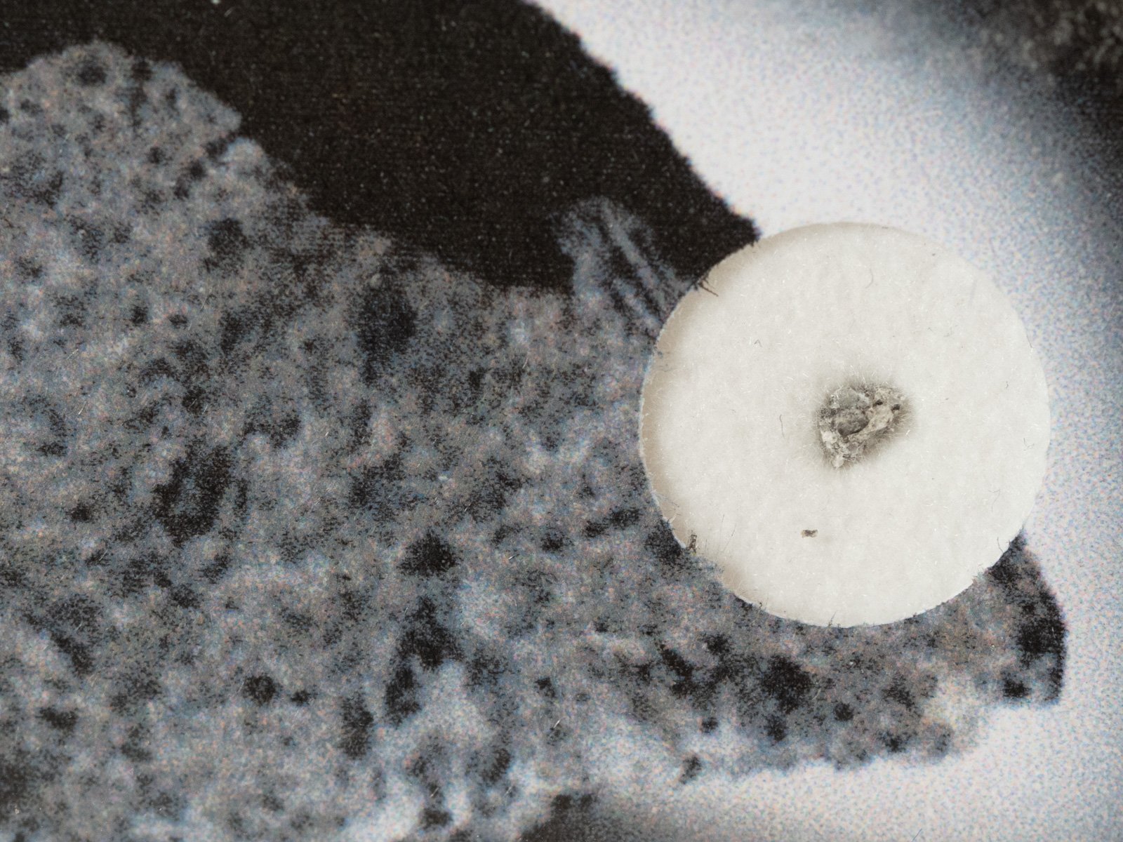 Jonzac (eucrite) - fragment nr 22 - Image 2