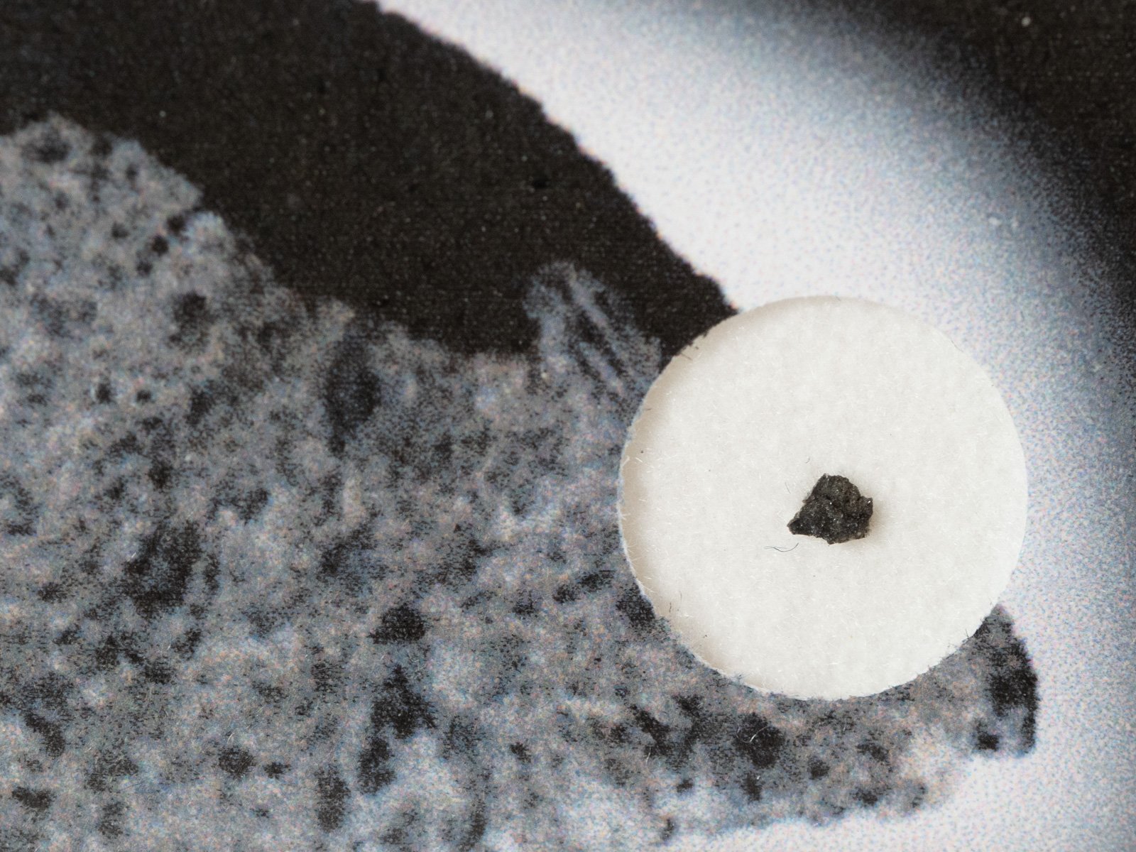 Jonzac (eucrite) - fragment nr 23 crusted - Image 2