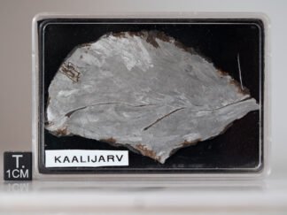 Kaalijarv (IAB) - 25.6g slice