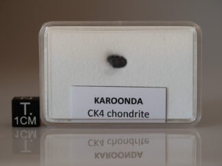 Karoonda (CK4) - 0.142g fragment