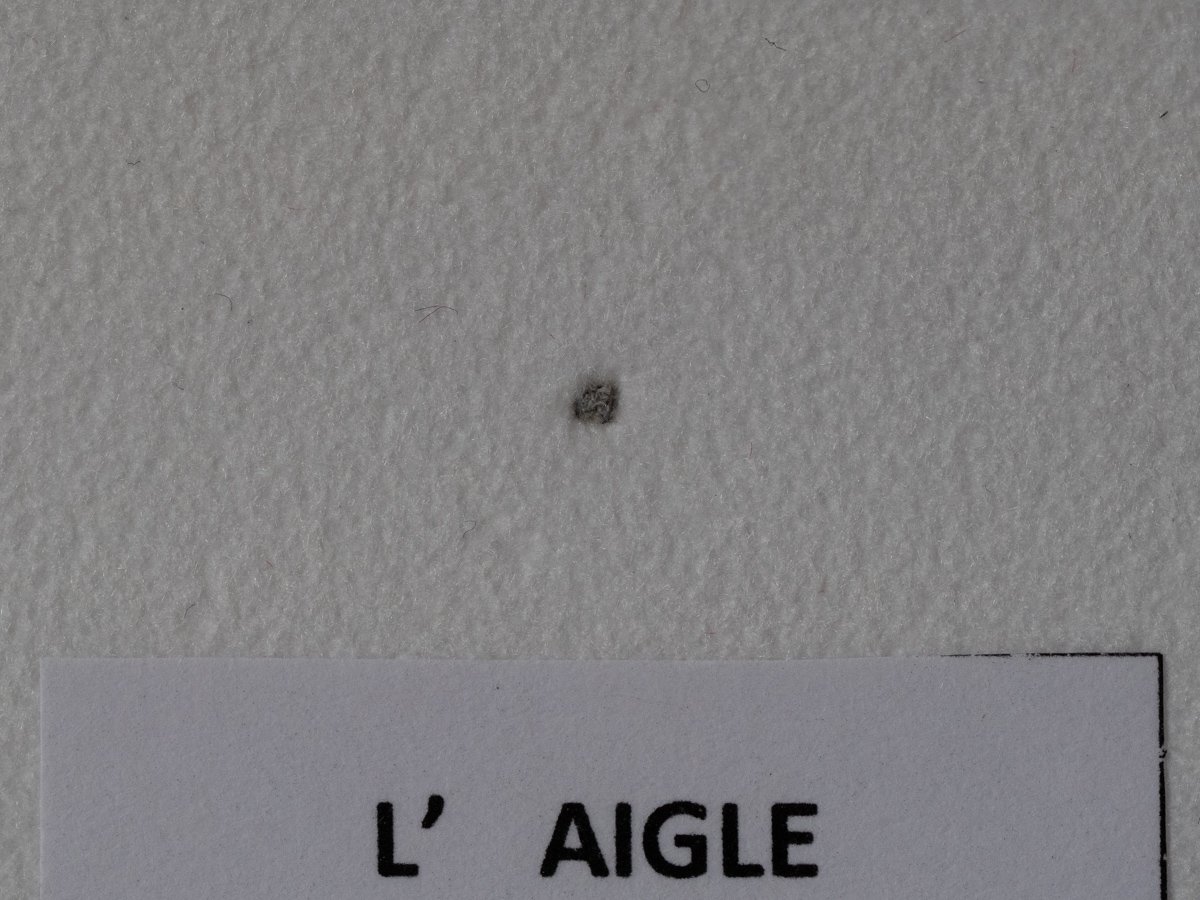 L'Aigle (L6) - fragment nr 60 - Image 2