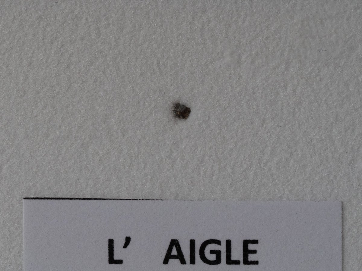 L'Aigle (L6) - fragment nr 62 - Image 2