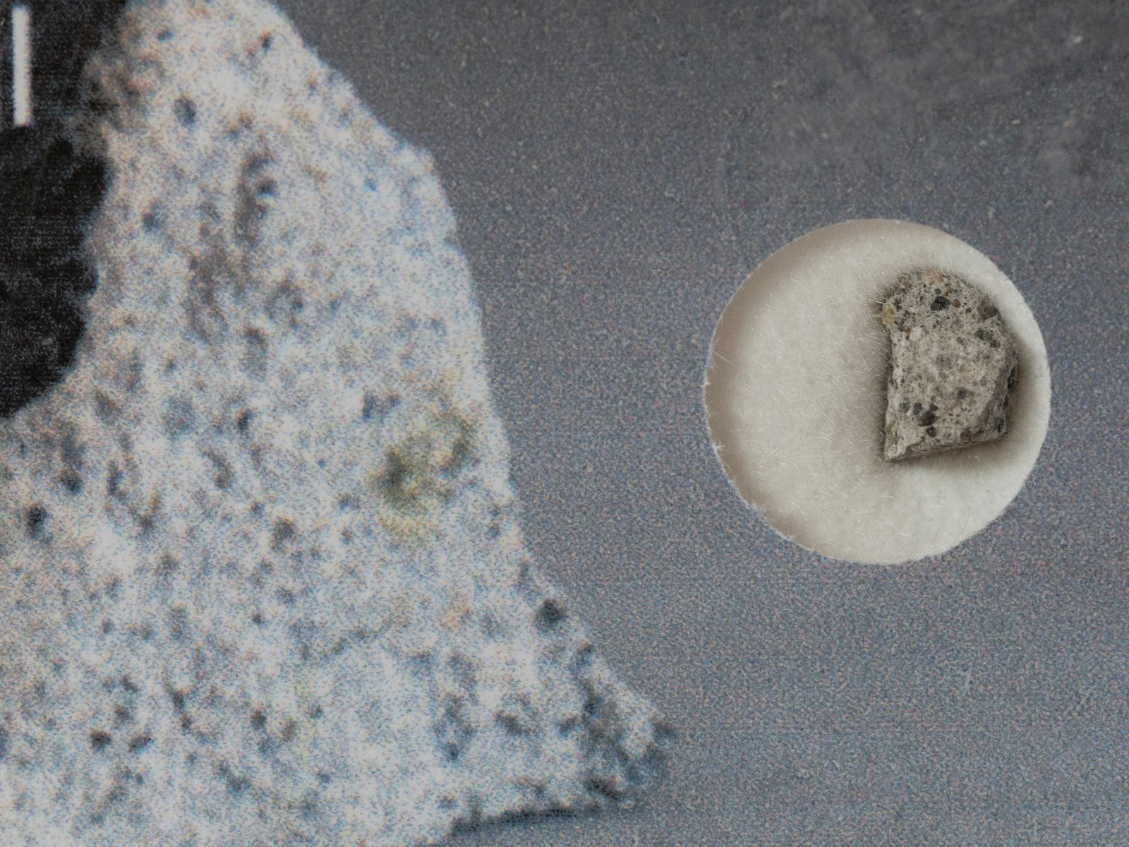 Le Teilleul (howardite) - 0.076g part slice - Image 2