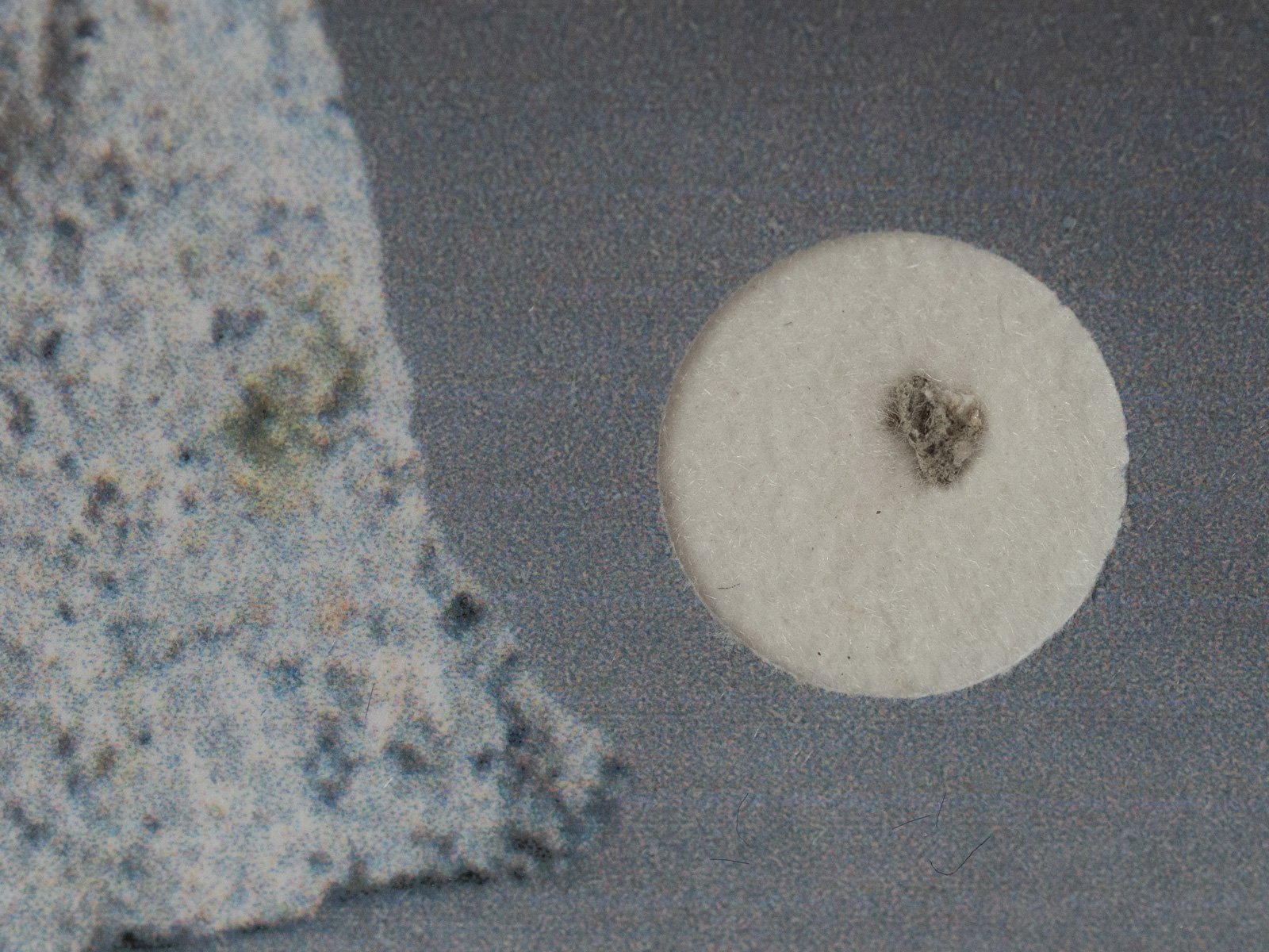 Le Teilleul (howardite) - fragment nr 39 - Image 2