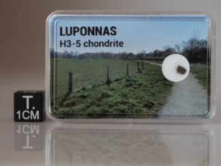 Luponnas (H3-5) - fragment