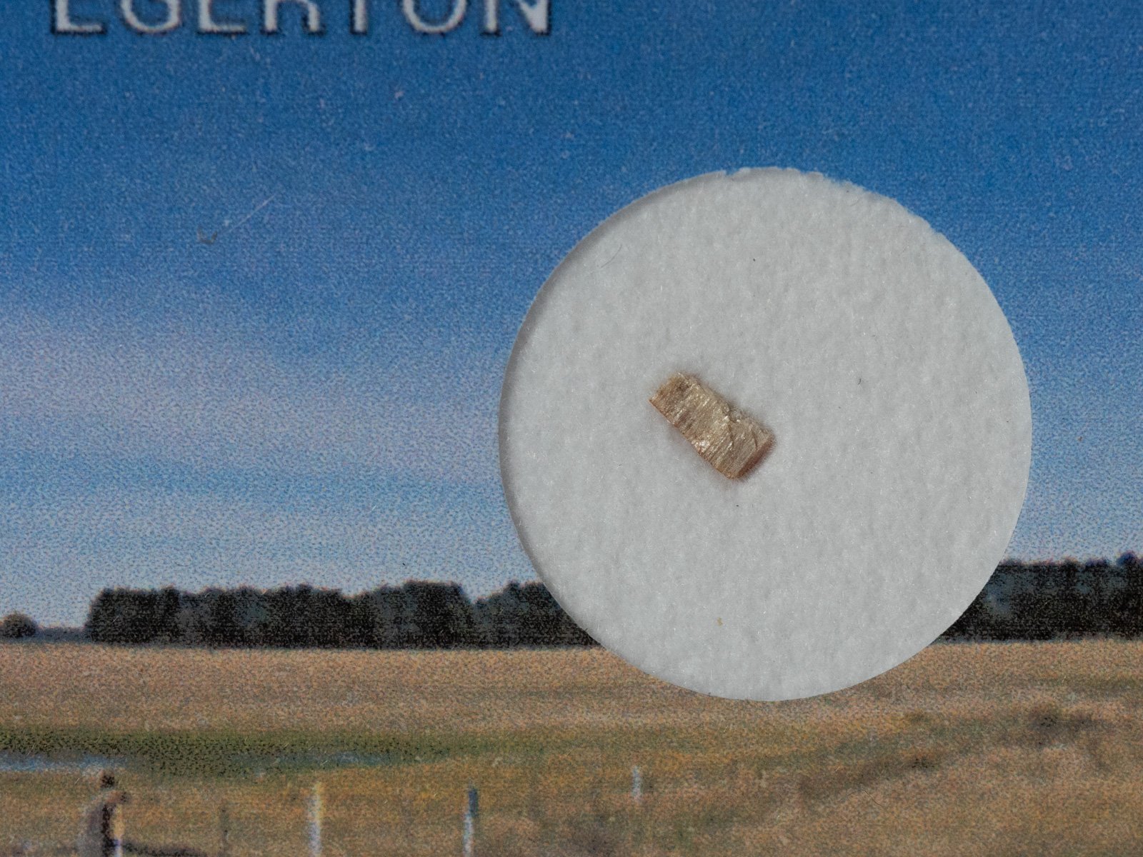 Mount Egerton (aubrite) - fragment - Image 2