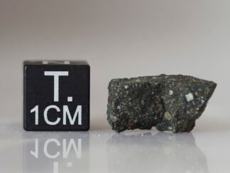 Murchison (CM2) - 1.74g fragment