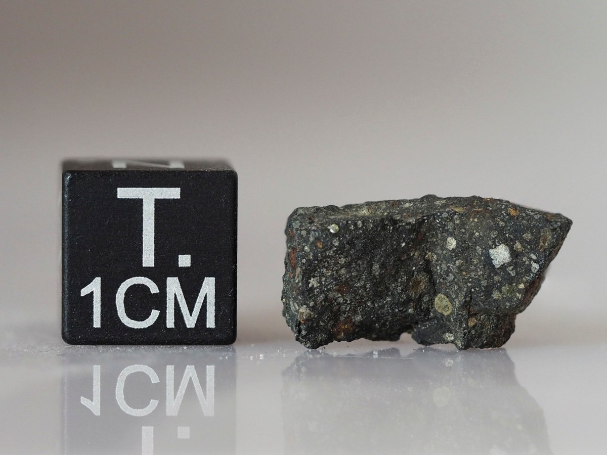 Murchison (CM2) - 1.74g fragment