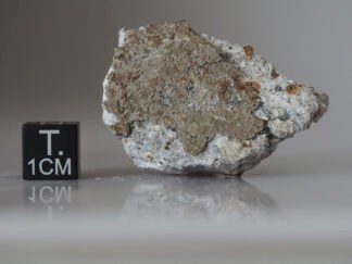 Norton County (aubrite) - 34.2g fragment with crust