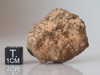 NWA 10502 (LL3) - 41.8g specimen