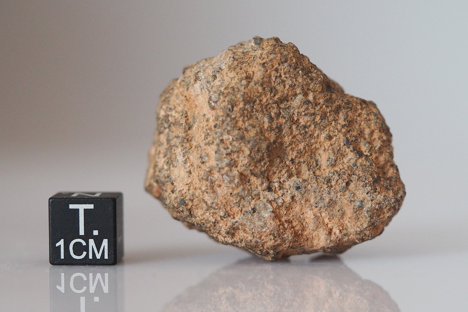 NWA 10502 (LL3) - 41.8g specimen - Image 2