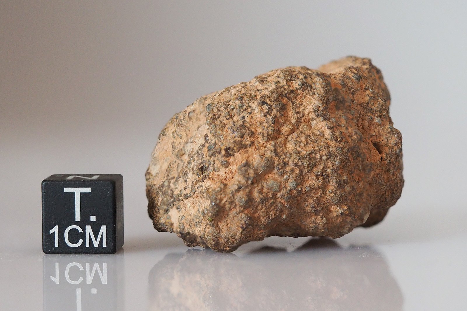 NWA 10502 (LL3) - 41.8g specimen - Image 3