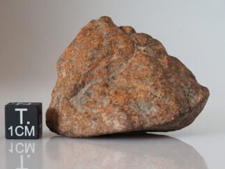 NWA 10502 (LL3) - 69.2g specimen