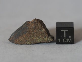 NWA 10503 (ungrouped) - 7.85g endcut