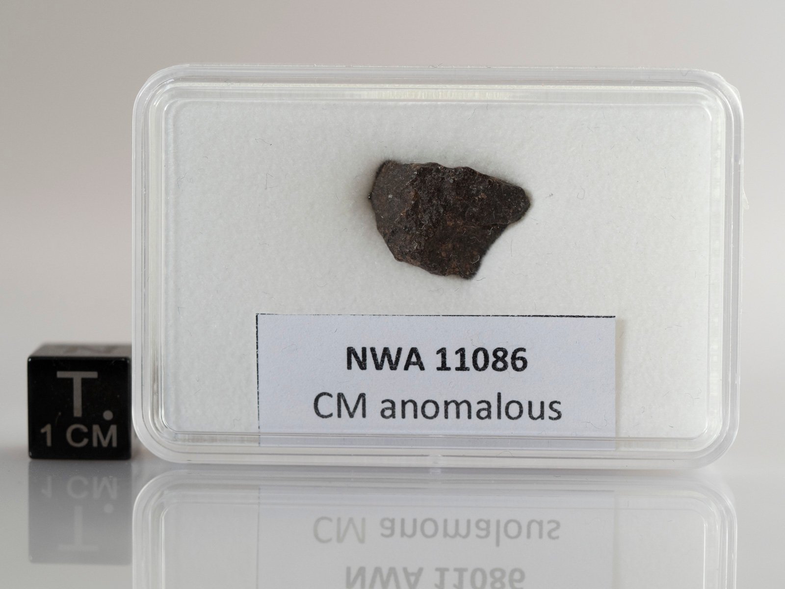 NWA 11086 (CM-an) - 1.066g fragment